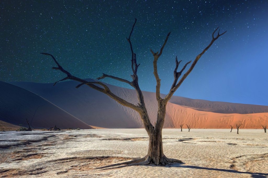 Arbres morts de Deadvlei sous un ciel étoilé, dans le désert du Namib